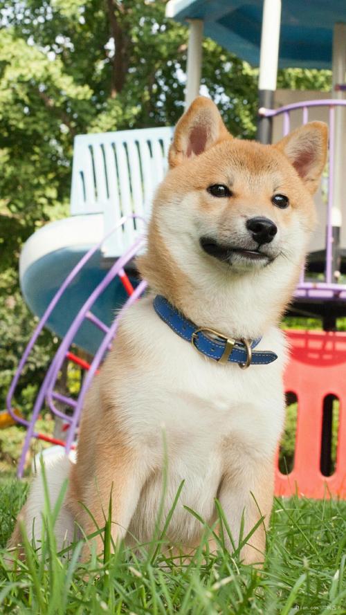 ǰ11¹ҵҵʵ57445Ԫ ͬ2.4%